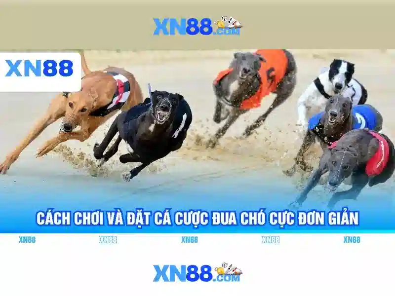 chiến lược Slot - xn88 chiến lược Slot - xn88