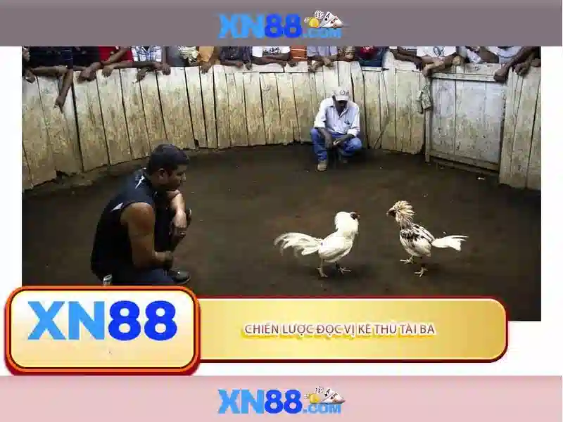 💎nhà cái uy tín năm 2024 betnhacai💎 💎nhà cái uy tín năm 2024 betnhacai💎