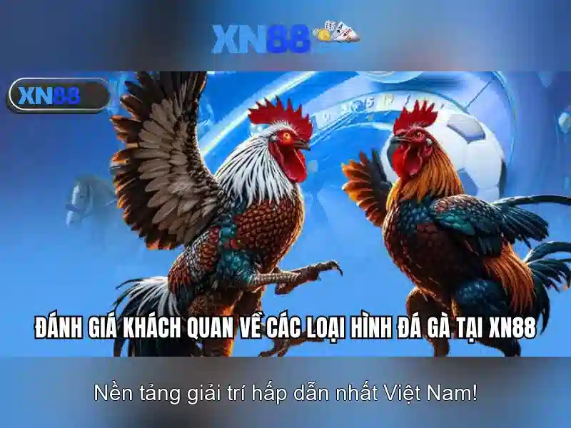 💎nhà cái 009 009.life💎 💎nhà cái 009 009.life💎