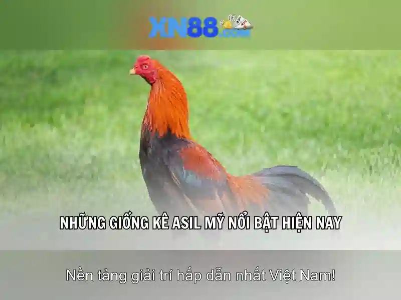 💎s1688 slot💎 💎s1688 slot💎