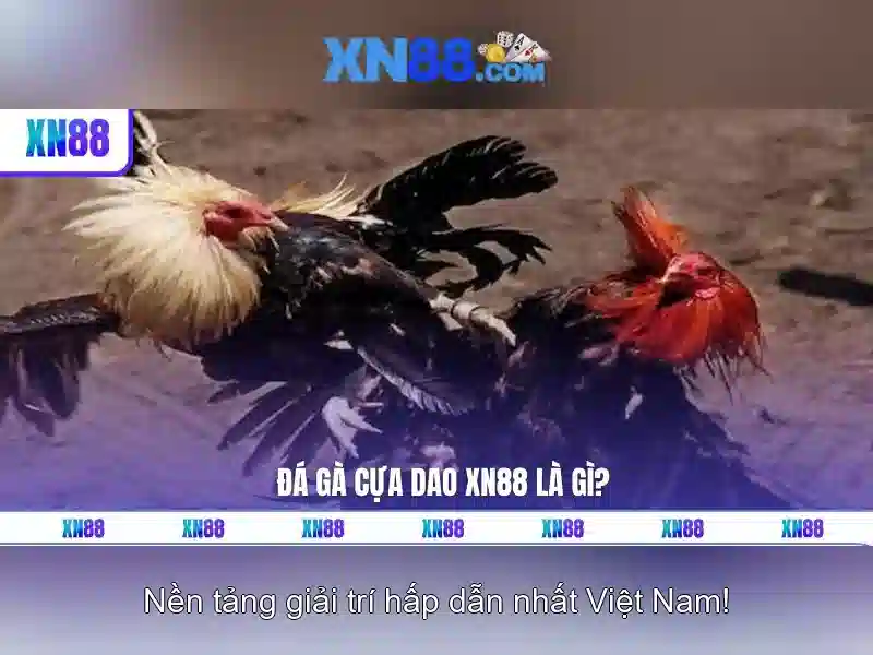 💎tỷ lệ cá cược ty so💎 💎tỷ lệ cá cược ty so💎