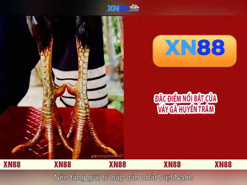 💎nhà cái uy tín onlinecasinohub.us💎 💎nhà cái uy tín onlinecasinohub.us💎