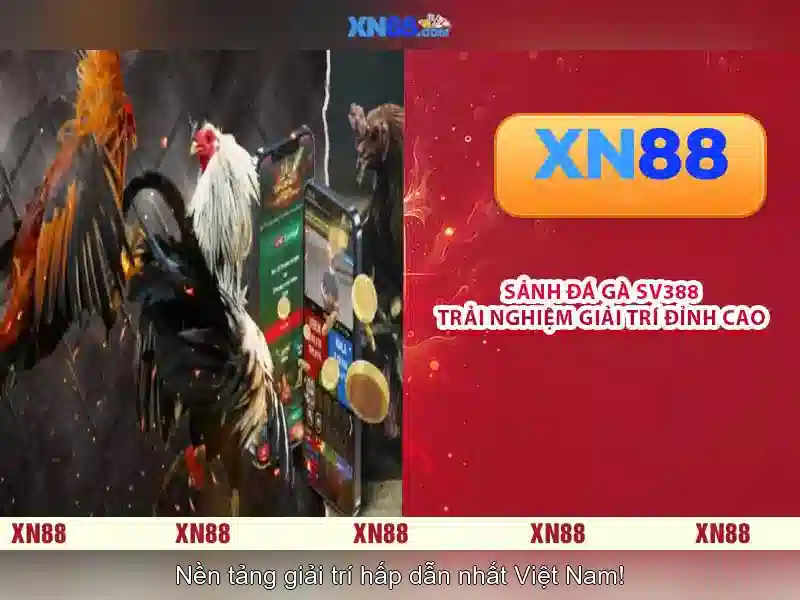 💎trang ca cuoc bonh da💎 💎trang ca cuoc bonh da💎